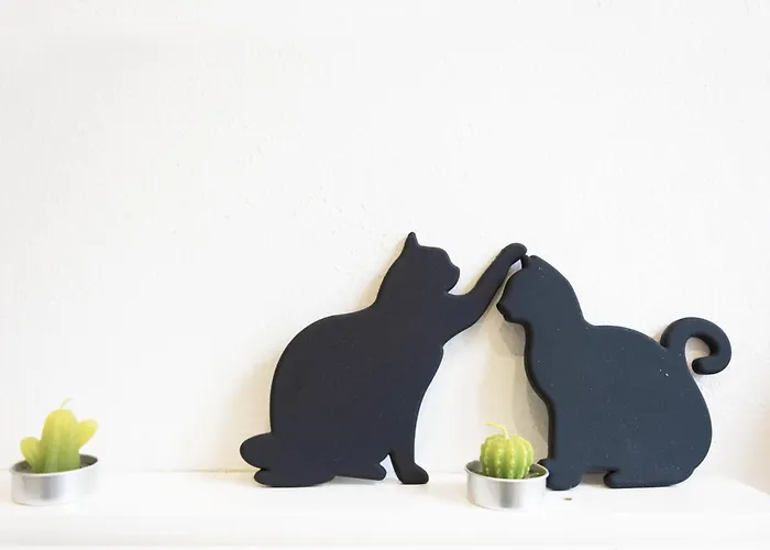 Appartement In Affitto Zona Tortona Solari *